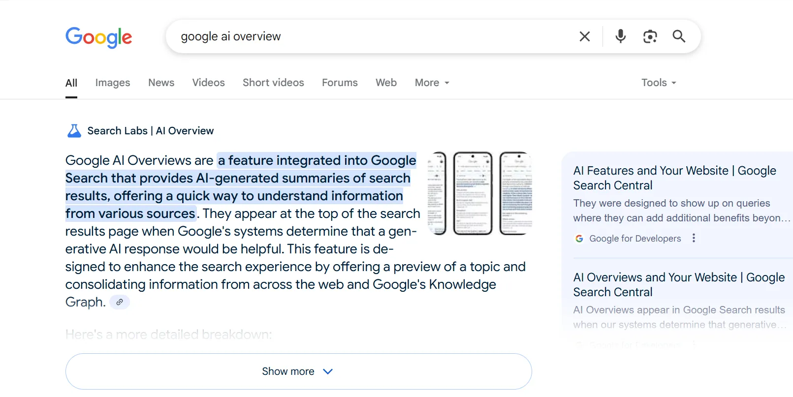 AI Overviews example